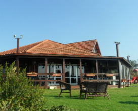 פסטיבל טעמים בעמקים 2014, מסעדת אוקטוגן, פעילויות לילדים, מסעדות לילדים